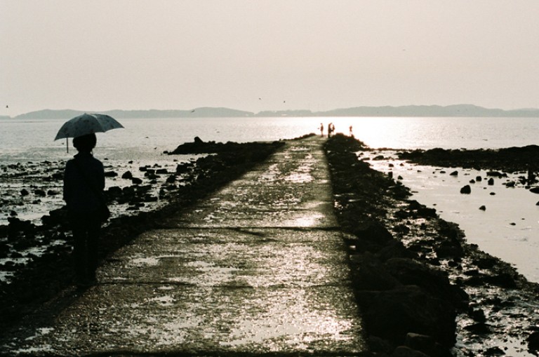 Nikon FM2 · Carl Zeiss Planar T* 50mm F1.4
