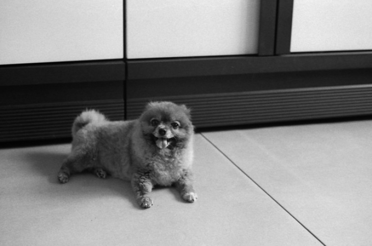 Nikon FM2 · Carl Zeiss Planar T* 50mm F1.4