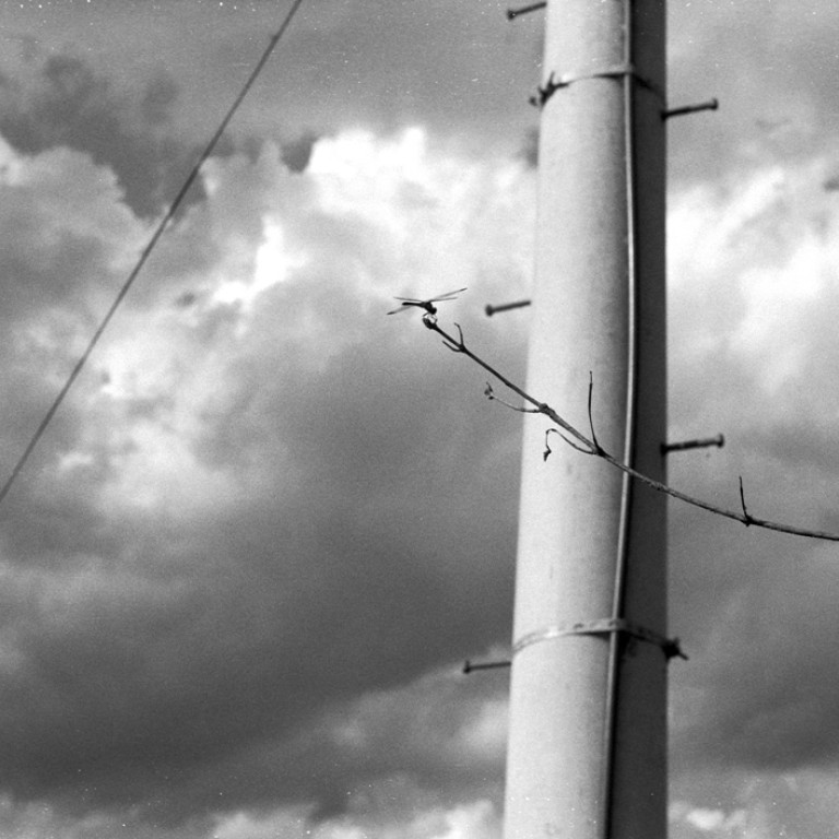 Yashica GSN · Yashinon