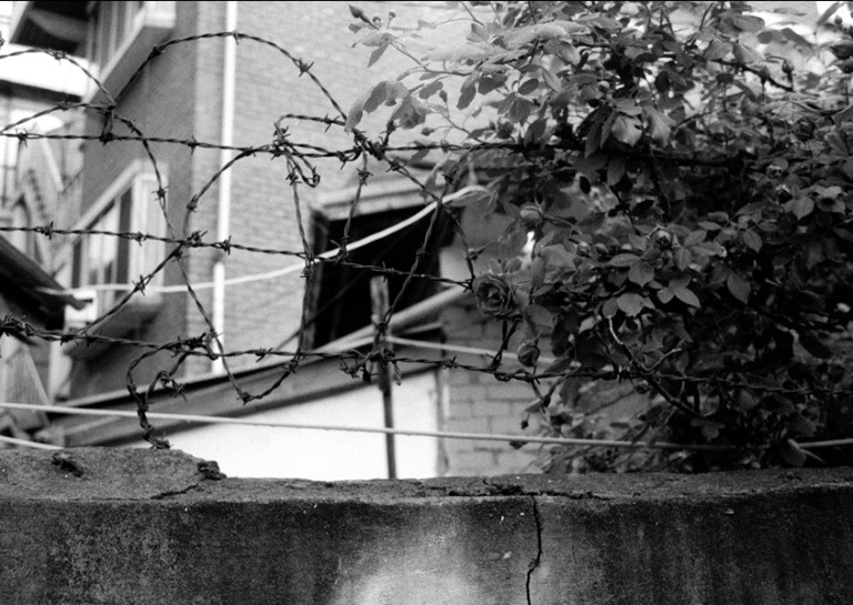 Rollei 35 · Carl Zeiss Tessar 40mm F3.5