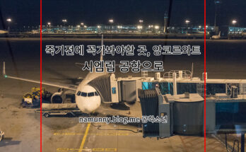 어머니와 패키지 여행 , 캄보디아 앙크로와트